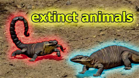 Curse of the extinct